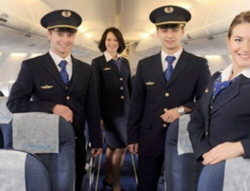 Yabancı Kabin Memurlarının Çalışma İzinleri